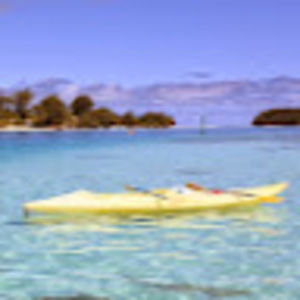 Meet your Posher, Brian lavin